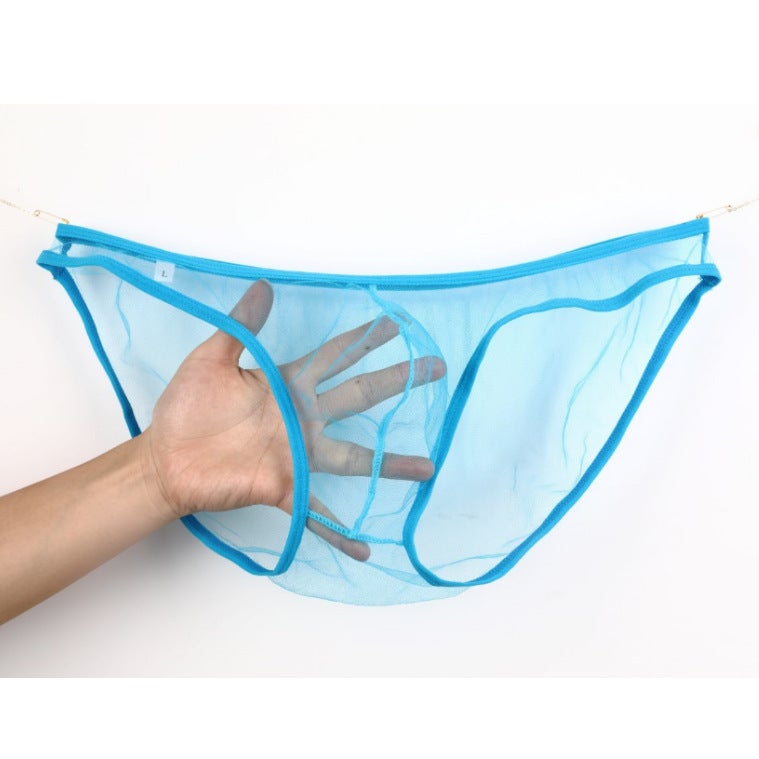 سراويل داخلية للرجال المثليين من شبكة رفيعة بخصر منخفض مقاس زائد C-034 - Image 4