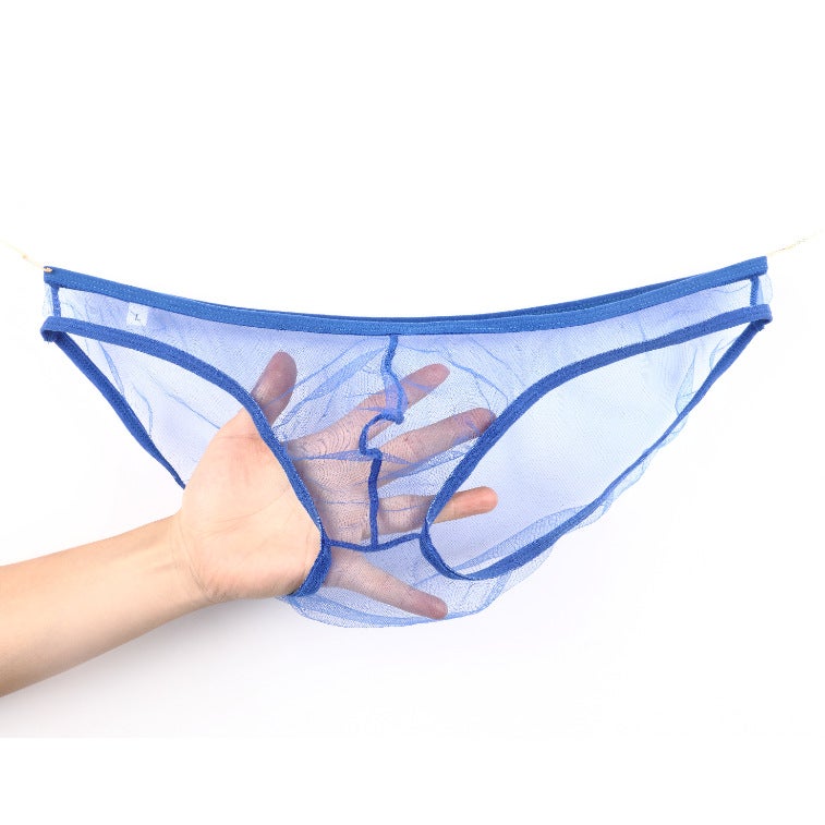 سراويل داخلية للرجال المثليين من شبكة رفيعة بخصر منخفض مقاس زائد C-034 - Image 3