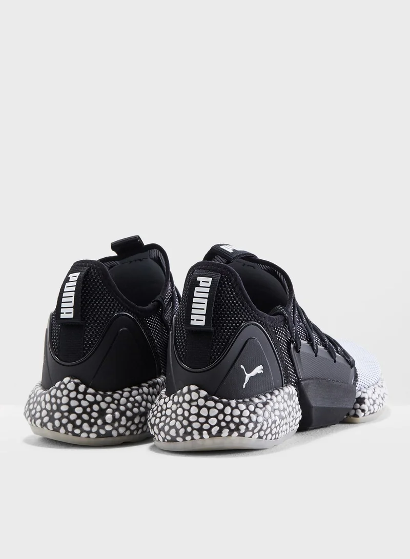 PUMA Hybrid Rocket Runner