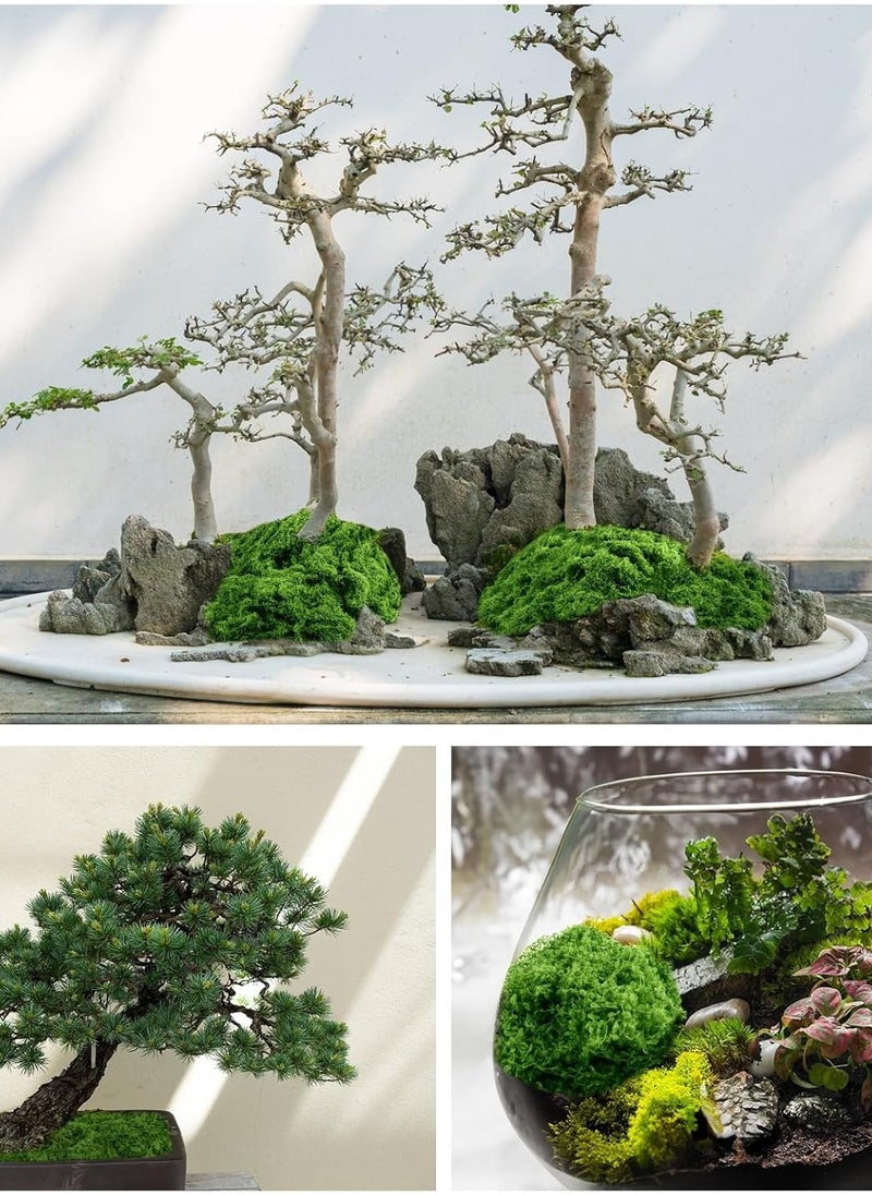 HMTYQNB Fake Green Moss for Potted Plants, 5.3OZ Moss Decor Artificial Faux Moss for Crafts Preserved Moss for DIY Decorative Moss Table Centerpieces Decor Fairy Garden Floral Wedding (150g)  - Image 3