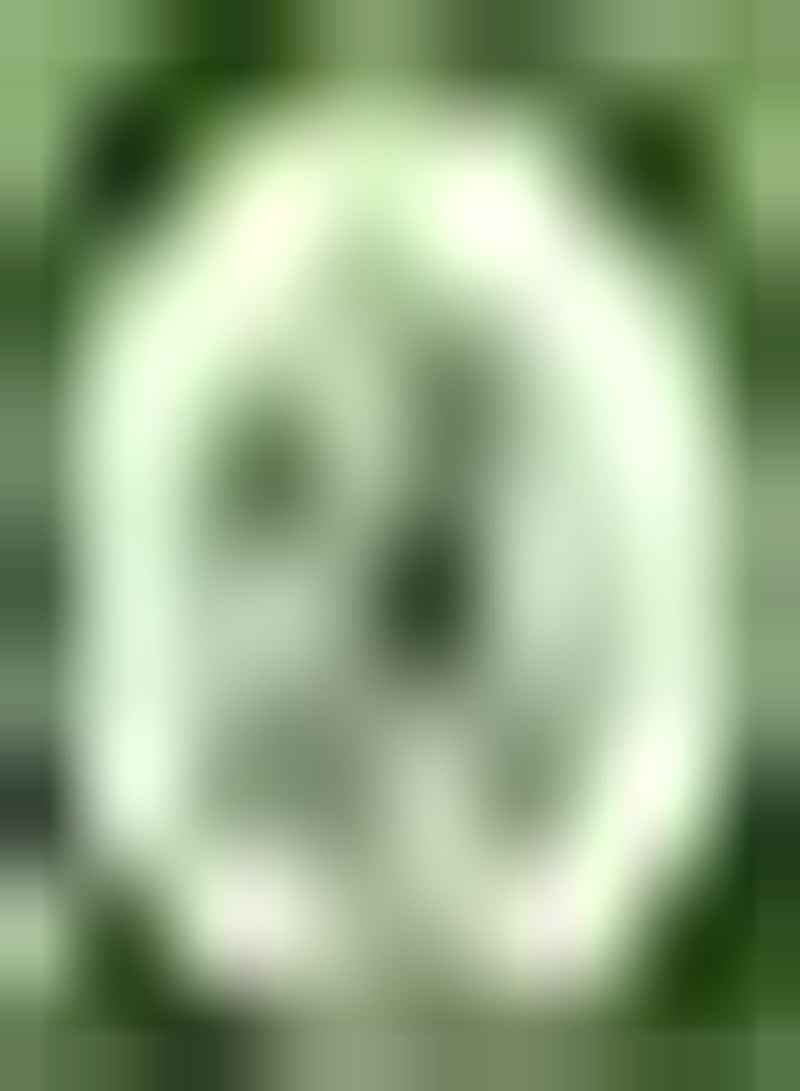 GGOOT 5pcs White Allium Seeds Exotic Striking Decorative Garden Yard Simple Planting Adaptable DIY Garden Craft Art Novice Friendly - Image 1