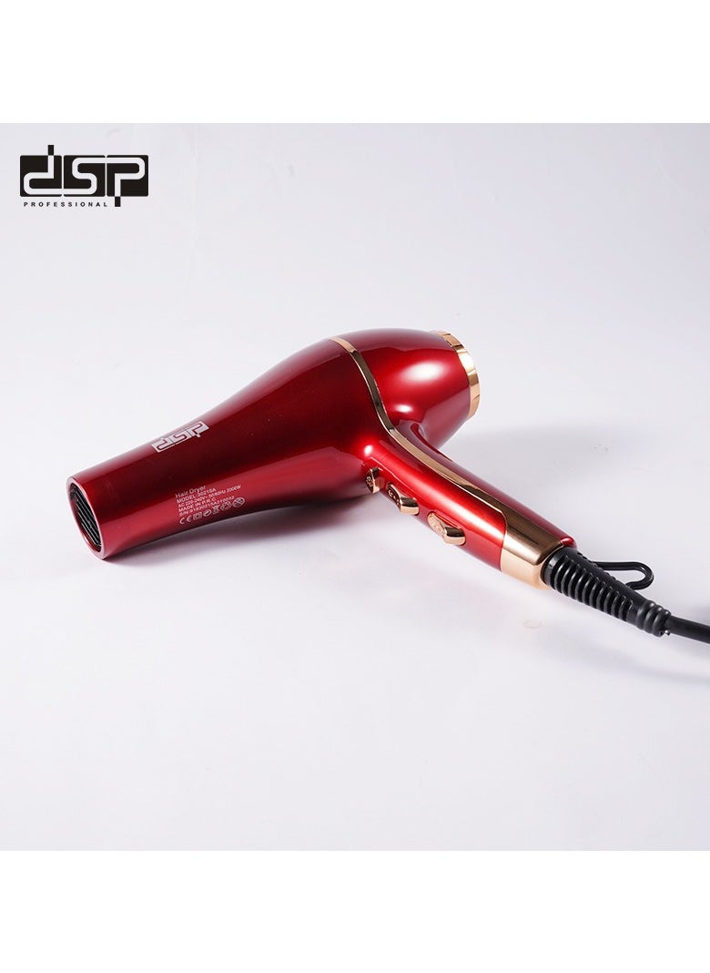 DSP - DSP Professional Hair Dryer 1500W with 2 Speeds and 3 Heat Settings,Black - Image 1