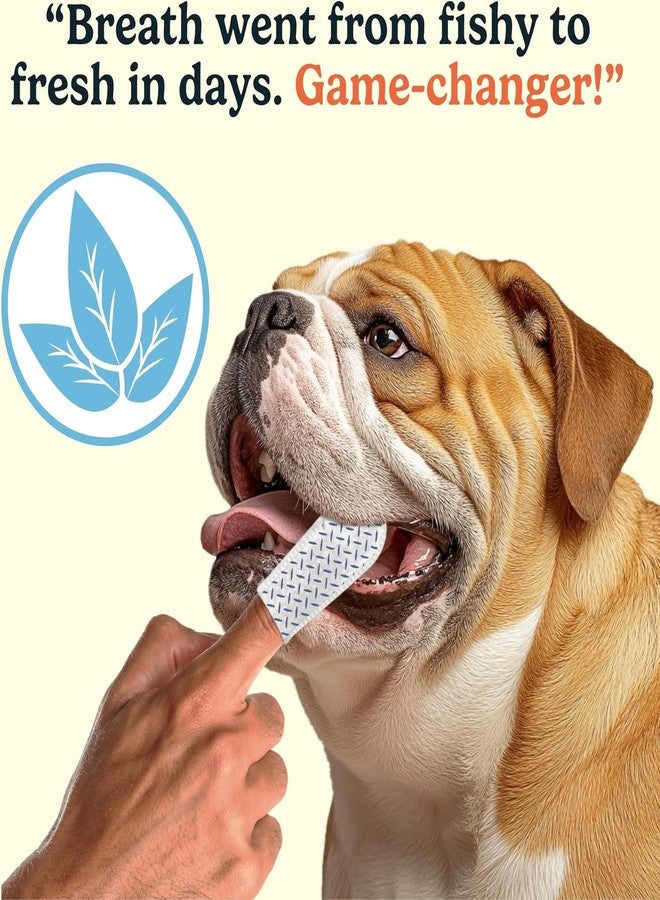 Jasper Dog Dental Wipes, Vet-Recommended Natural Cat & Dog Teeth Cleaning Wipes Dog Teeth Cleaner, Disposable Wipes Fresh Breath PlaqLift Technology Attacks Plaque and Buildup, Unscented, 60 Count - Image 4