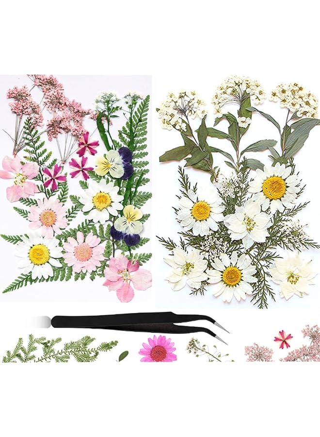 The Bros Heatunk Real Pressed Dried Flowers Kit for Crafts - 31 Assorted Pieces with Tweezers, DIY Resin Molds, and Creative Projects