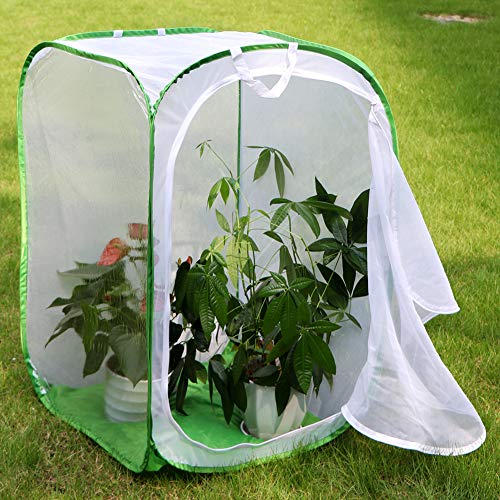 RESTCLOUD 36" Large Monarch Butterfly Habitat, Giant Collapsible Insect Mesh Cage Terrarium Pop-up 24 x 24 x 36 Inches - Image 4