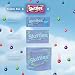 SKITTLES Wild Berry Chewy Candy Full Size Movie Night Party Favor Candy Packs Bulk Box 217 oz Pack of 36 - Image 4