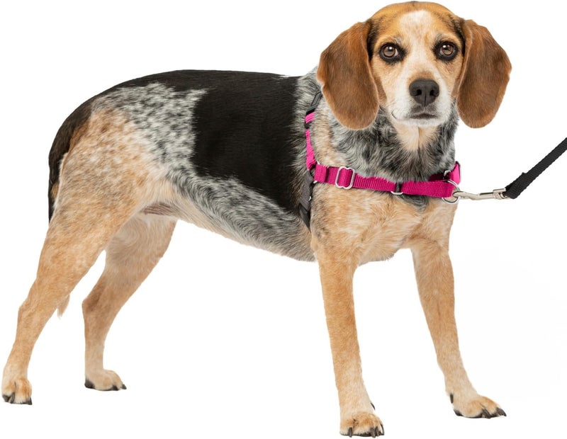 PetSafe Easy Walk No-Pull Dog Harness - Raspberry/Gray, Small/Medium - Image 1