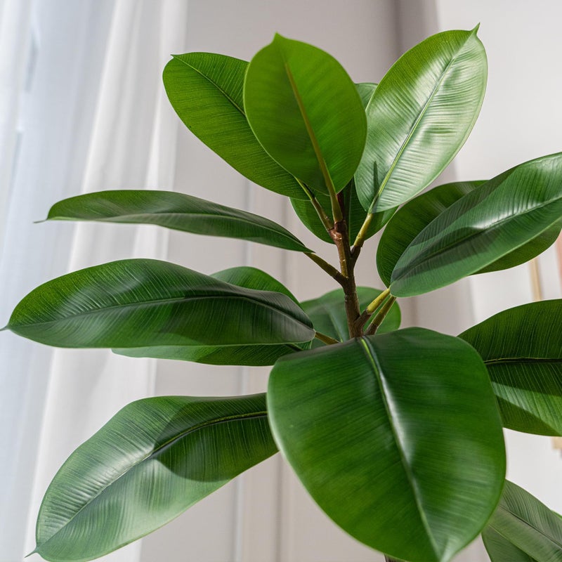 Bailikang 7.2ft Artificial Rubber Tree Faux Plants Indoor Faux Floor Artificial Trees Indoor,Fake Plant Fake Tropical Plants,Large Floor,Real Touch Rubber Tree for Home Decor - Image 3