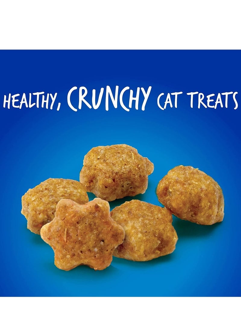 Fruitables Chicken Flavor with Blueberry Cat Treats 70g - Image 2