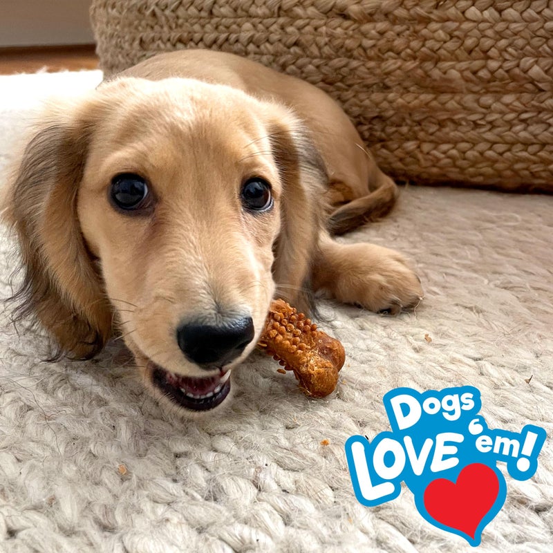 Nylabone Nubz Natural Dog Chew Treats for Puppies, Long Lasting Dog Bones Made in USA, Puppy Training Treats, Turkey & Sweet Potato Flavor, for Puppies Up to 25 lbs. (8 Count) - Image 3