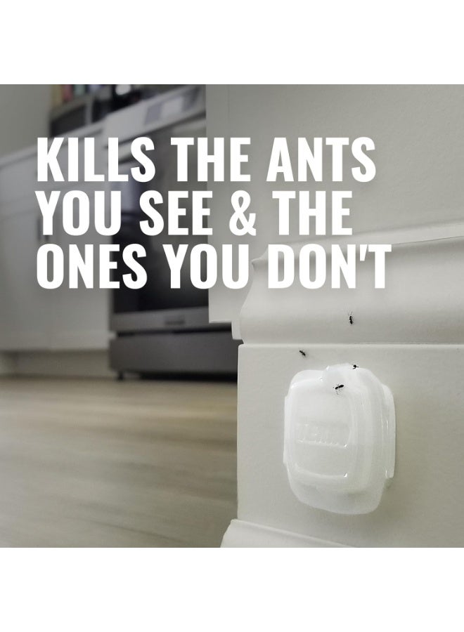 Terro T334 4 5 Pack Multi-Surface Liquid Ant 20 Discreet Bait Stations,White - Image 4