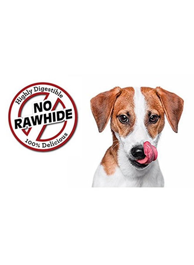 SmartBones DoubleTime Chews 16 Count, Mini, Rawhide-Free Chews For Dogs With Long-Lasting Chew Center - Image 5