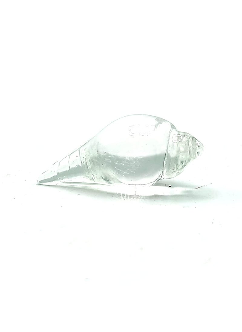 Plus Value Plus Value Crystal Shell Shankha Conch Home Office Temple Pooja Room Temple Decor  - Image 3