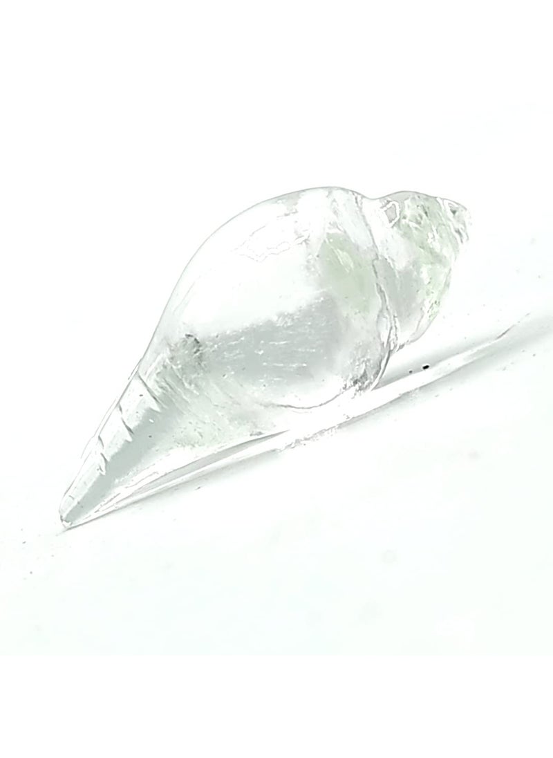 Plus Value Plus Value Crystal Shell Shankha Conch Home Office Temple Pooja Room Temple Decor  - Image 4