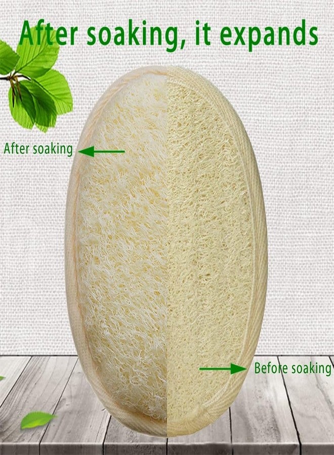 Much Hotter 2-Pack Exfoliating Body Scrubber Loofah Sponge,Loofah Sponge Exfoliating Body Scrubber - Natural Luffa & Terry Cloth, Body Scrubbers for Men and Women,Perfect for Bath Spa and Shower - Image 3
