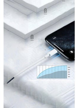 ION Type C To Type C A2795 Data Cable, White  - Image 1