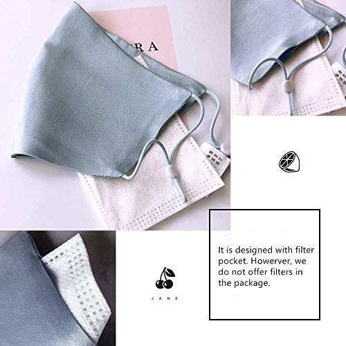 ROSEWARD 100% Mulberry Silk Face Mask with Filter Pocket Adjustable Ear Strap (Blue) - Image 2