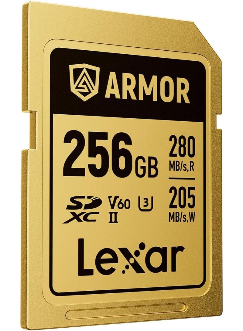 ليكسار ARMOR SD 256GB Gold Pro 280MB/s V60 256 GB - Image 2