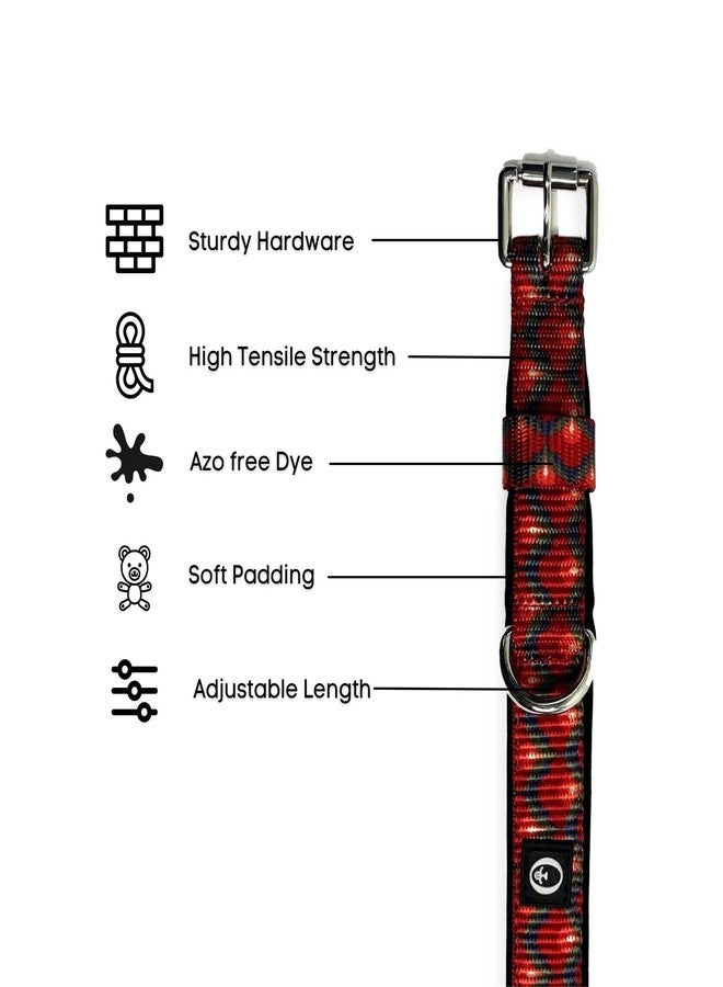 طوق FORFURS من البوليستر بإبزيم دبوس - صغير، للكلاب، 0.75 × 13 بوصة، متعدد الألوان - Image 2