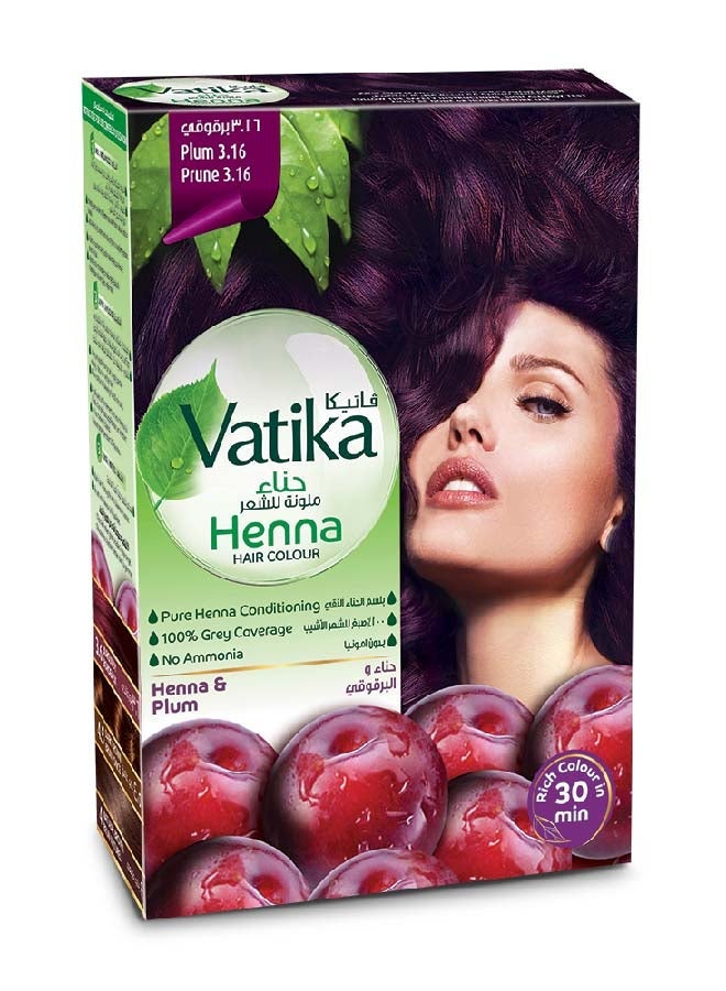 Dabur صبغة شعر الحناء 100% تغطية للشيب بدون أمونيا برقوق 60 جرام - Image 1