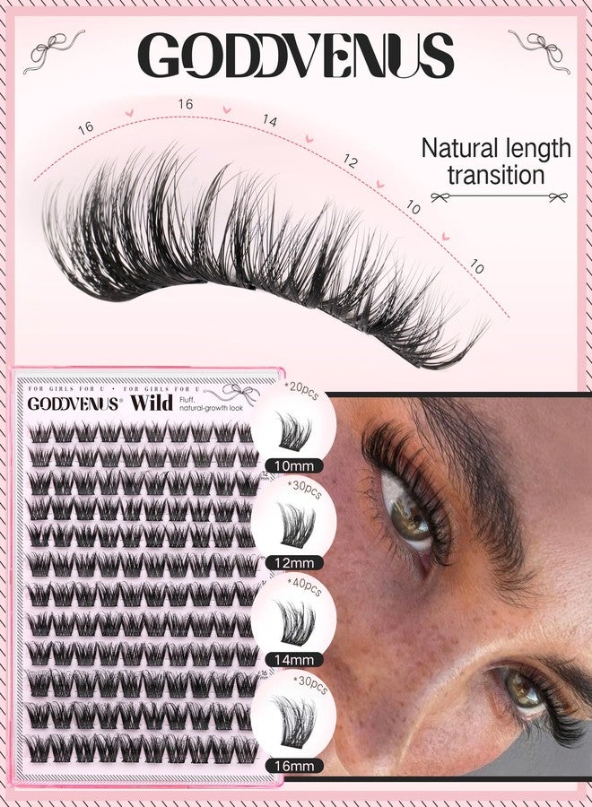 Goddvenus Fluffy Eye Lash Clusters Wispy Eyelash Clusters, D Curl Cluster Eyelash Extensions Natural Individual Lashes 120pcs, 10-16mm False Eyelashes for DIY Lash Extensions - Image 5