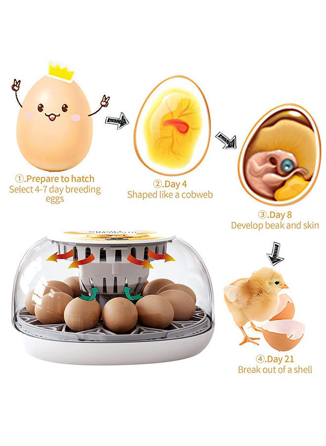 Generic - 12 Egg Automatic Egg Incubator Digital Hatching Eggs with Fully Automatic Turner, Poultry Hatching Machine with Humidity Control for Chicken Quail Duck Goose Pigeon Birds Eggs - Image 1
