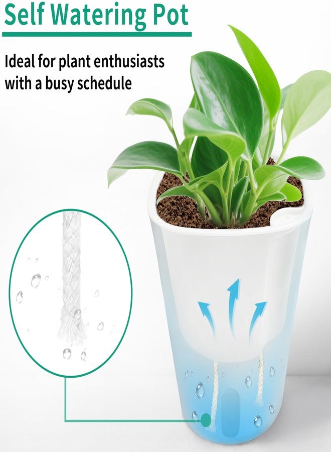 TCBWFY 5" Self Watering Pots,5 Sets Self Watering Planter Pots for Indoor Plants with Water Level Indicator and Multiple Vents,Self Watering Planters,Self Watering Plant Pot for House Plants,Flowers,Herbs - Image 4