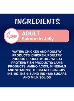 PURINA Felix As Good As It Looks Wet Food For Adult Cats|Complete And Balanced Cat Food |Salmon Flavour|Pack Of 12 Pouches (12 X 85 G)  - Image 3