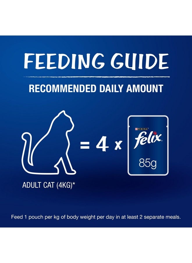 PURINA - Felix As Good As It Looks Wet Food For Adult Cats|Complete And Balanced Cat Food |Salmon Flavour|Pack Of 12 Pouches (12 X 85 G) - Image 1