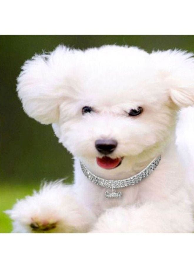 عقد طوق مزين بالخرز اللامع فضي 25 سم - Image 3