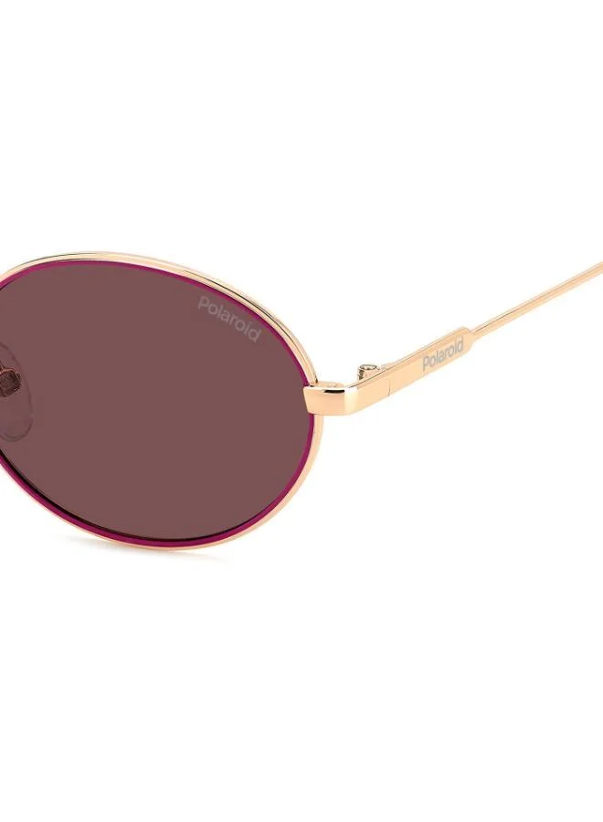 Polaroid Oval Sunglasses Frames