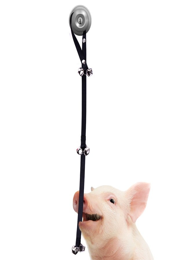 SunGrow Dog & Ferret Potty Door Bell, 34 Inches, Nylon Bells, House-Training Cat, Pot Belly Pig, Small, Medium & Large Pets, 3 Levels of Bell - Image 4