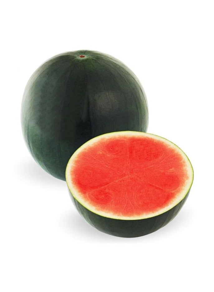 Watermelon 24.95 Dhs/Kg- Seedless - Approx 3 kg