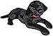 Douglas Dickens Black Lab Large Dog Plush Stuffed Animal - Image 3