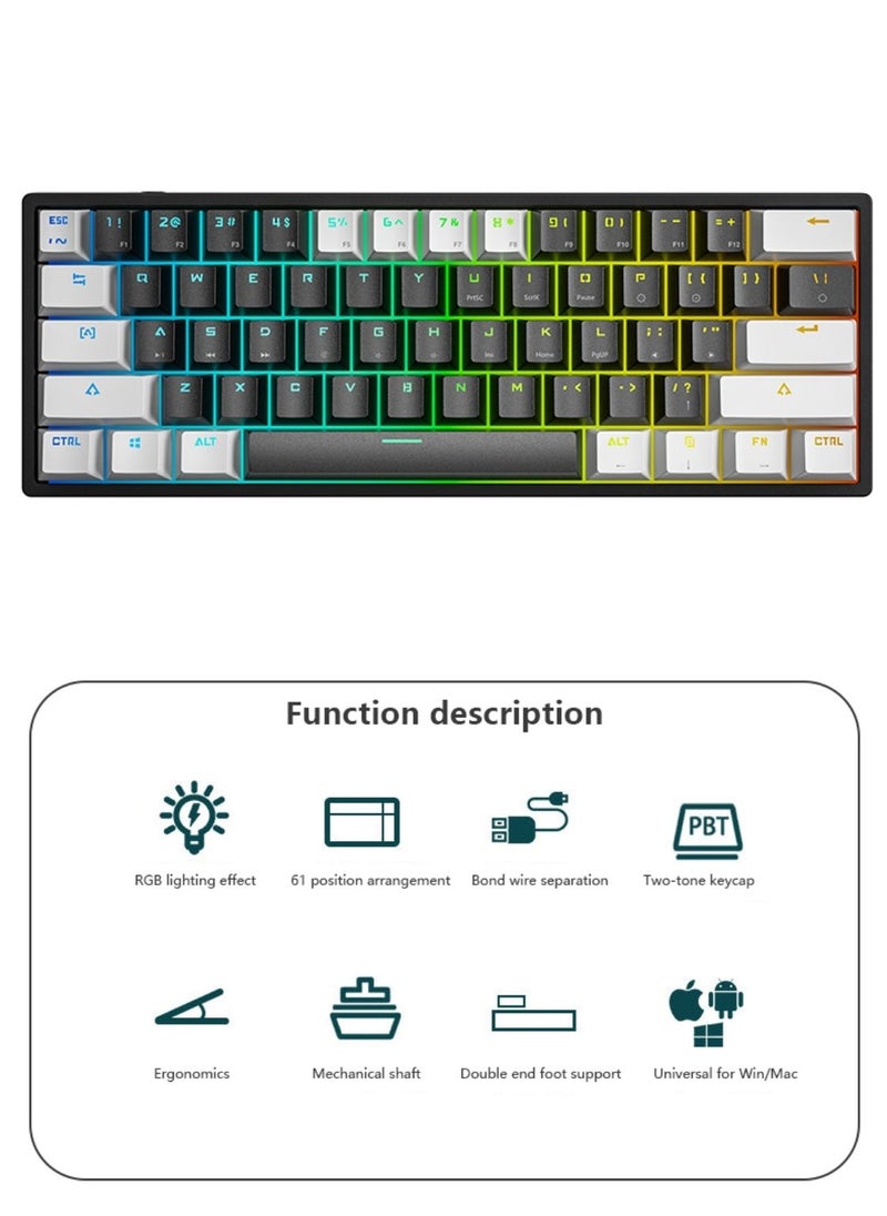 LEAVEN - Mechanical Keyboard 61 Keys PBT Translucent Dual-Color Injection Keycaps RGB Backlight Detachable Type-C 60% Wired Gaming Keyboard White/Black - Red Switch - Image 1