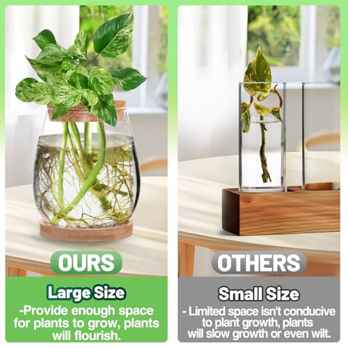 Big Gun Biggun Plants Propagation Station - 2Pcs Desktop Plant Terrarium Glass Hydroponic Vases, Water Plant Jars, Gardening Gifts for Women Mom Plant Lovers (Water Drop Shape, Separated Tray Style) - Image 2