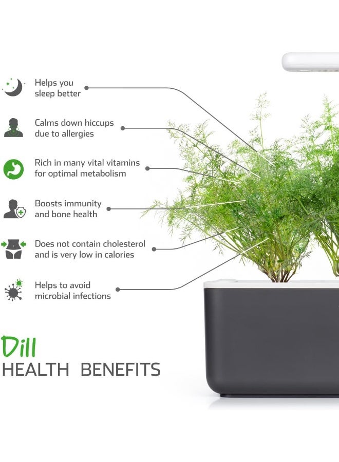 CLICK AND GROW Dill Capsules - Pack of 3  - Image 2