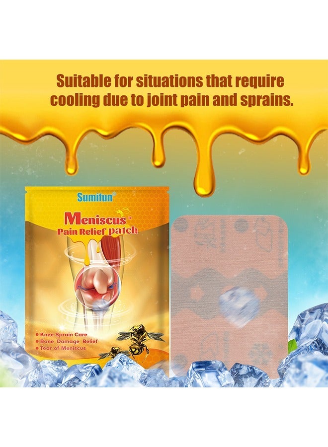 سوميفون لاصقة العناية بسم النحل تخفف من آلام العمود الفقري القطني والركبة والأوتار والعظام وآلام العضلات والمفاصل - Image 5