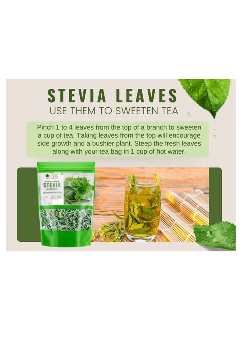 BLISS OF EARTH Bliss of Earth Organic Stevia Leaves Dried, Natural & Sugarfree Best Taste, 2x100GM  - Image 4