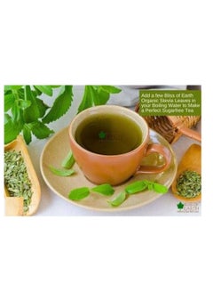 BLISS OF EARTH Bliss of Earth Organic Stevia Leaves Dried, Natural & Sugarfree Best Taste, 2x100GM  - Image 3