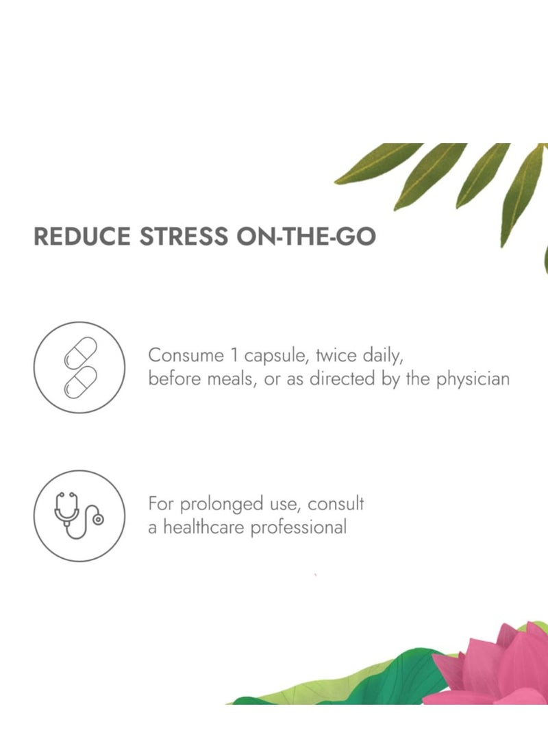 كابيفا أشواغاندا كابيفا أشواغاندا جولد 60 كبسولة |183 يوم أشواغاندا ناغوري أشواغاندا | 3 أضعاف قوتها | تساعد في إدارة الإجهاد والنوم، وتقلل من الكورتيزول | للرجال والنساء | 100٪ أيورفيدا - Image 4