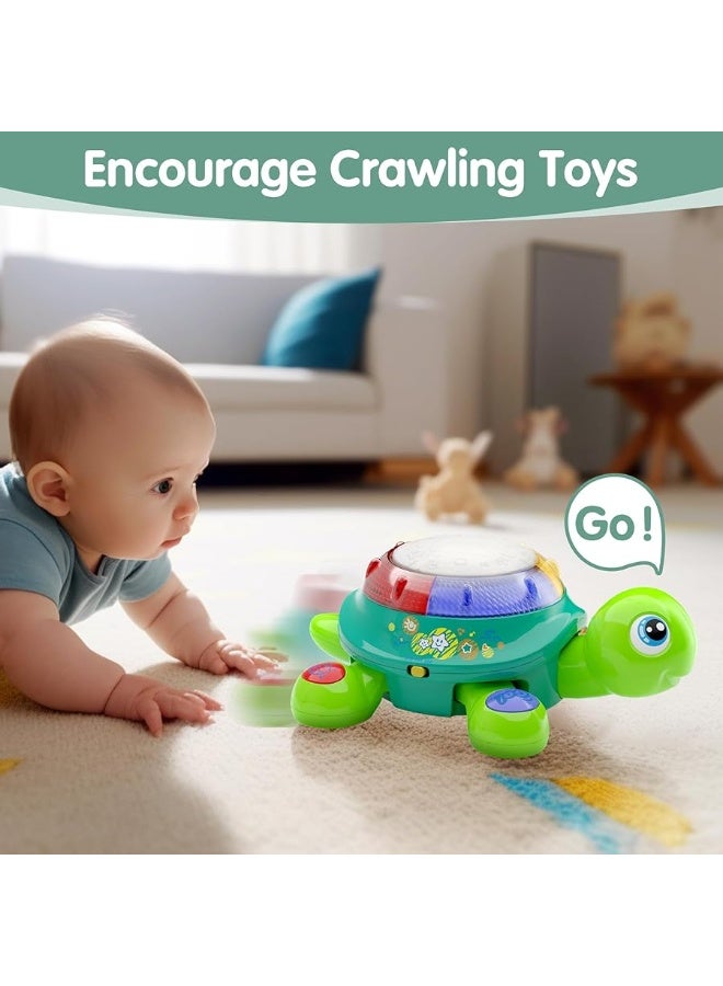 iLearn iPlay, iLearn Baby Musical Turtle Toy, Infant Crawling Tummy Toys W/ Light Sound, Toddler Spanish English Bilingual Learning Educational, Birthday Gifts 6 7 8 9 10 12 18 Month 1 Year Old Boy Girl - Image 3