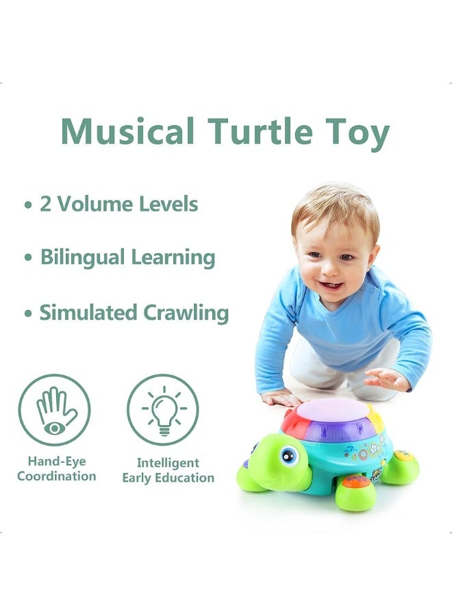 iLearn iPlay, iLearn Baby Musical Turtle Toy, Infant Crawling Tummy Toys W/ Light Sound, Toddler Spanish English Bilingual Learning Educational, Birthday Gifts 6 7 8 9 10 12 18 Month 1 Year Old Boy Girl - Image 5