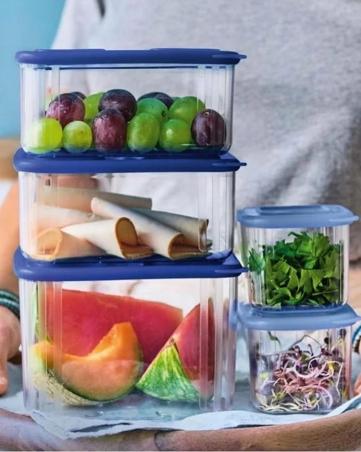 توبروير Modular Organizer Container 1.62 Lt Refrigerator Storage Container Hsgl