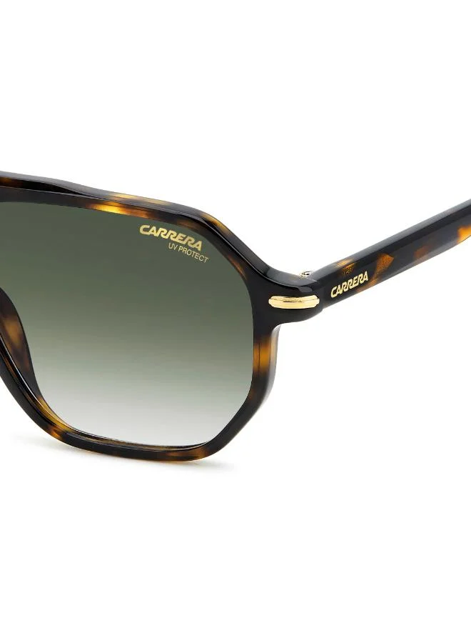 Carrera  Wayfarers Sunglasses for Men | Best Price UAE