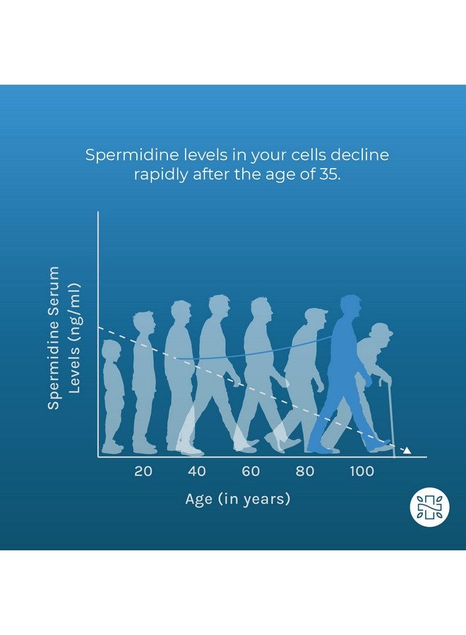 Neurogan كبسولات مكملات سبيرميدين برو من نيوروجان - 50 ملغ لكل حصة، إمداد لمدة 60 يومًا - امتصاص معزز لوظيفة الخلايا، شيخوخة صحية - مصنوعة من مستخلص جنين القمح للرجال والنساء - Image 5