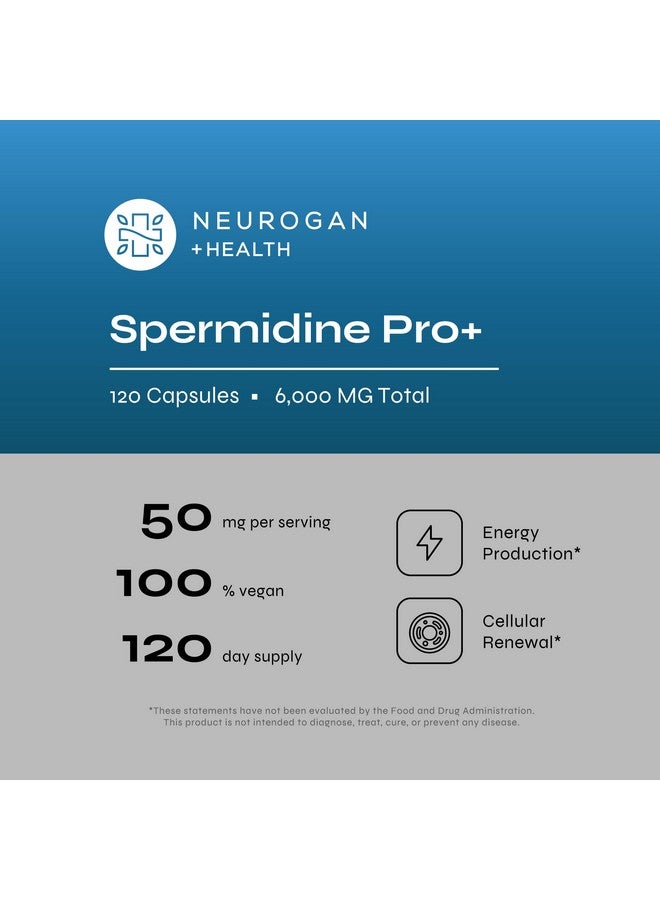 Neurogan كبسولات مكملات سبيرميدين برو من نيوروجان - 50 ملغ لكل حصة، إمداد لمدة 60 يومًا - امتصاص معزز لوظيفة الخلايا، شيخوخة صحية - مصنوعة من مستخلص جنين القمح للرجال والنساء - Image 3
