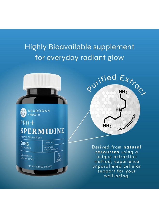 Neurogan كبسولات مكملات سبيرميدين برو من نيوروجان - 50 ملغ لكل حصة، إمداد لمدة 60 يومًا - امتصاص معزز لوظيفة الخلايا، شيخوخة صحية - مصنوعة من مستخلص جنين القمح للرجال والنساء - Image 4