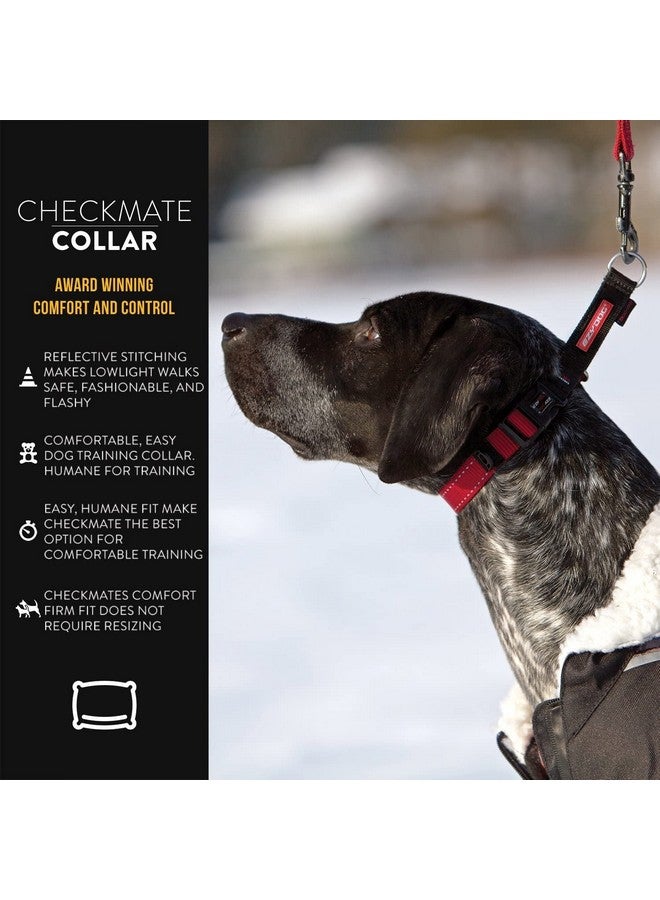 إيزي دوج طوق مارتينجال من إيزي دوج كشميت للكلاب - طوق تدريب للكلاب من النايلون الفاخر للتحكم السهل دون الاختناق (متوسط، أزرق) - Image 2