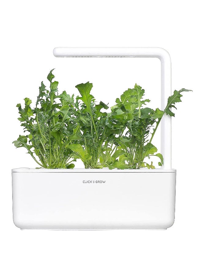 click 3Piece Pesticide With Free Edible Arugula Plant Pod Set SGR19X3  - Image 1